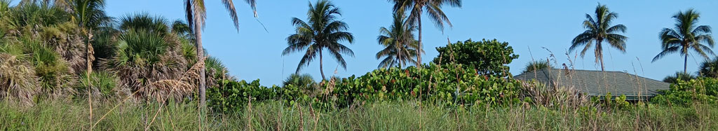 caribbean-green-town